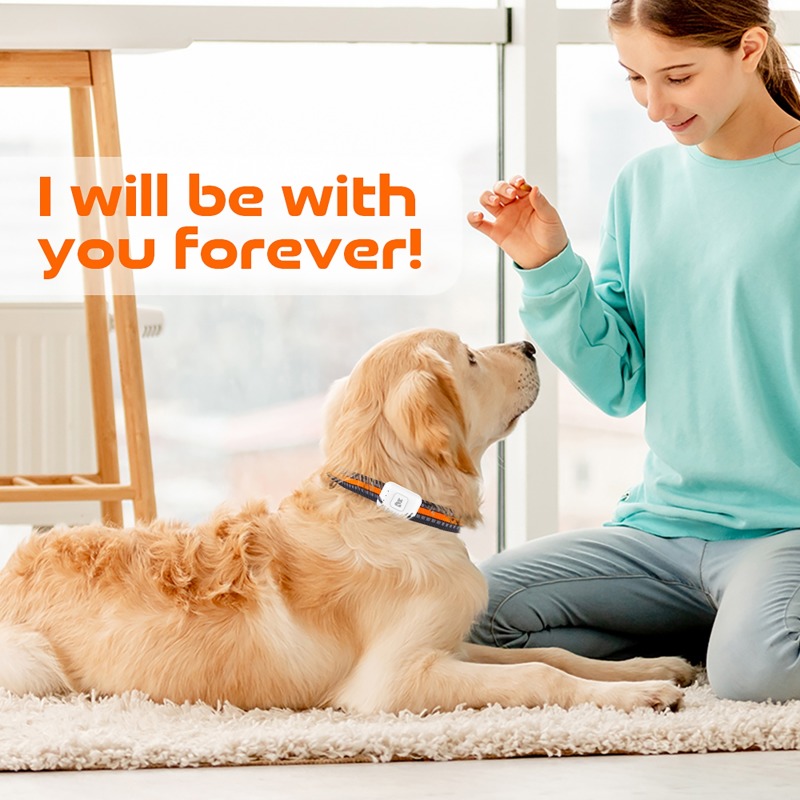 Pet GPS AGPS Tracking Device 4 - Pet Supplies Discount recension och pris