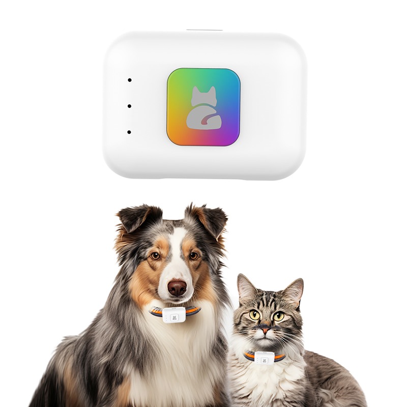 Pet GPS AGPS Tracking Device 4 - Pet Supplies Discount recension och pris