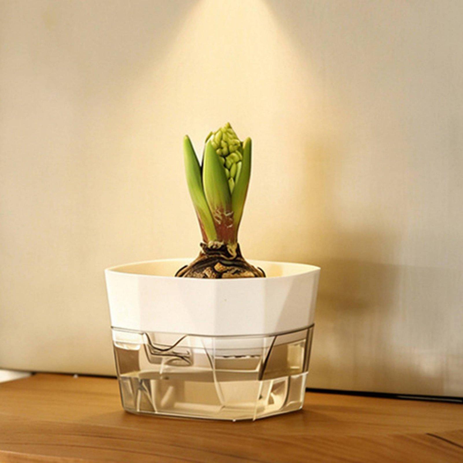 Hydroponic Vase Two Layer Self - Pet Supplies Usa recension och pris