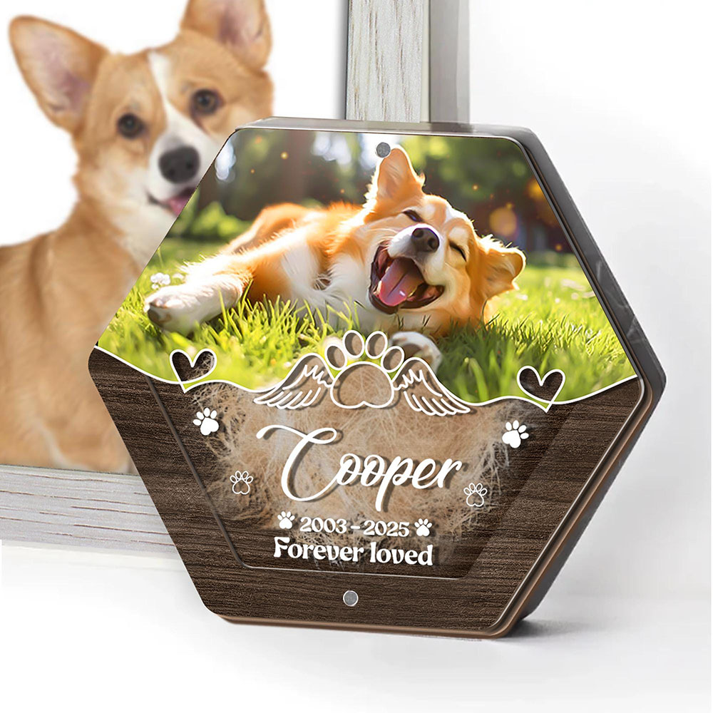 Personalized Name Wooden Carvi - Pet Supplies Discount recension och pris