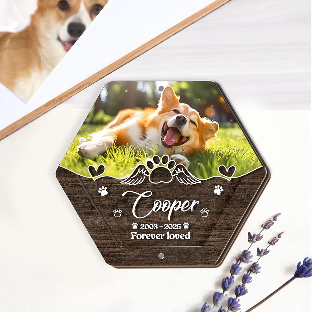 Personalized Name Wooden Carvi - Pet Supplies Discount recension och pris