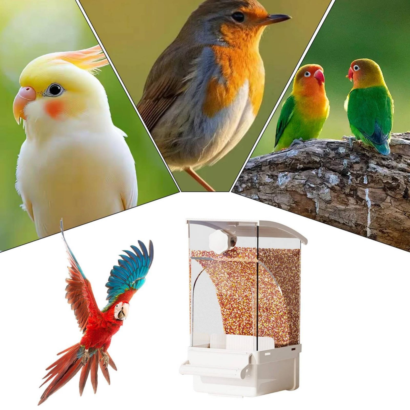 Automatic Avian Feeder Husk Se - Pet Supplies Usa recension och pris