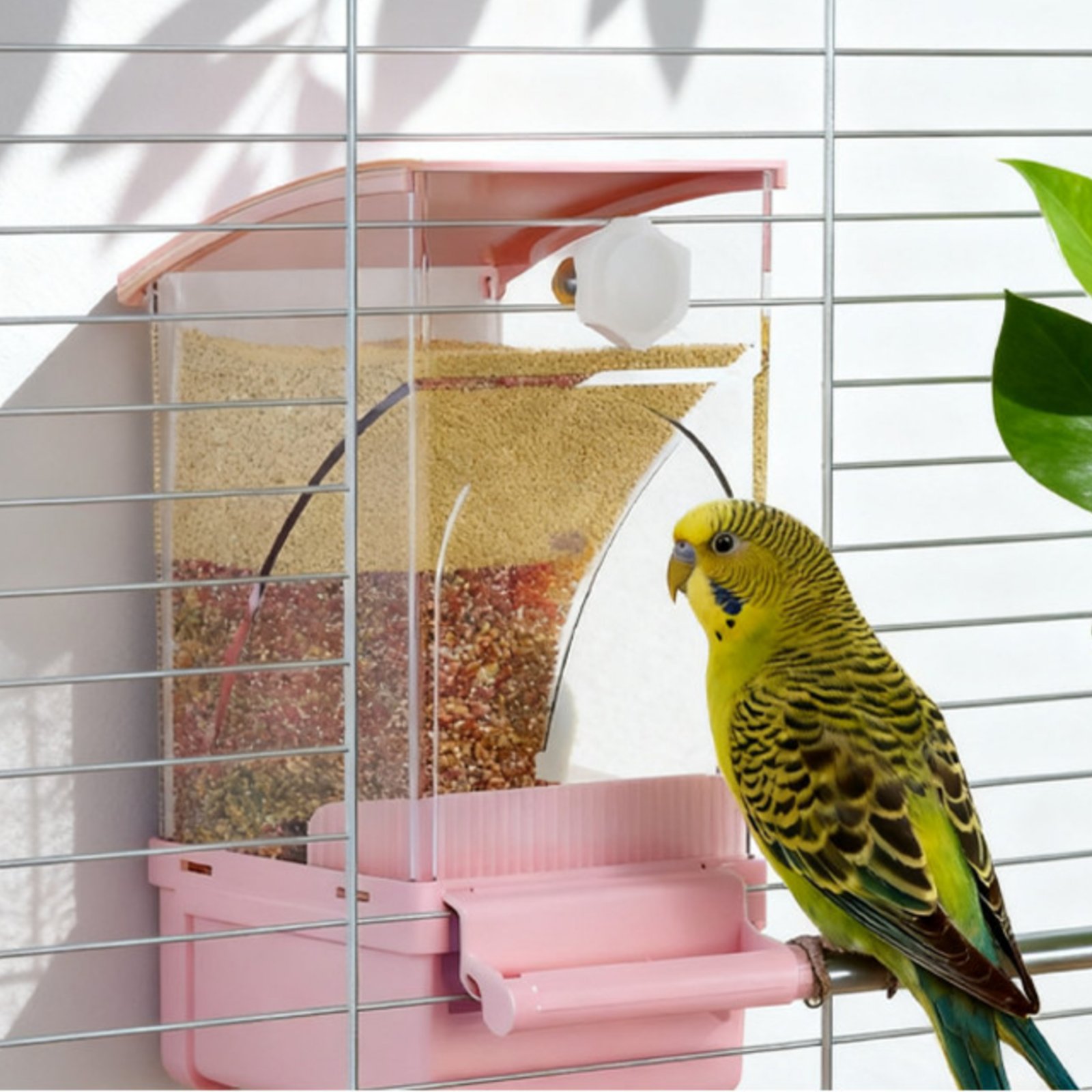 Automatic Avian Feeder Husk Se - Pet Supplies Usa recension och pris