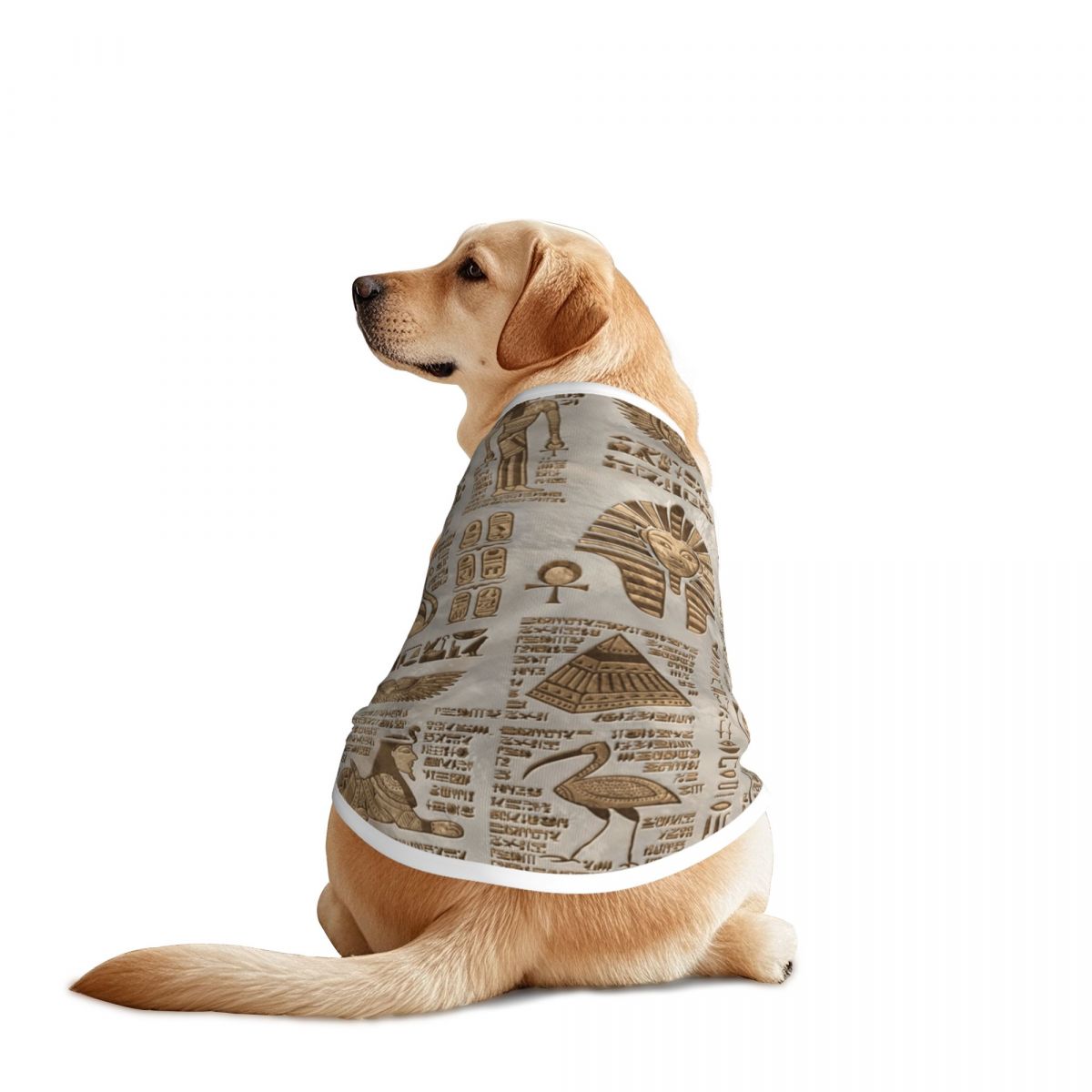 Egyptian Hieroglyphs And Deiti - Pet Supplies Egypt recension och pris