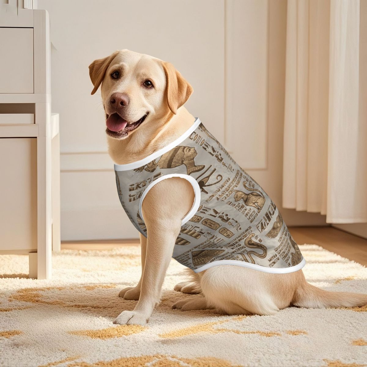Egyptian Hieroglyphs And Deiti - Pet Supplies Egypt recension och pris