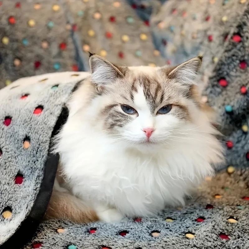 3PCS Soft Fluffy Pet Blanket C - Pet Supplies Discount recension och pris