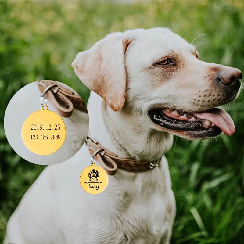 Custom Pet Name Puppy Anti-los - Pet Supplies Discount recension och pris