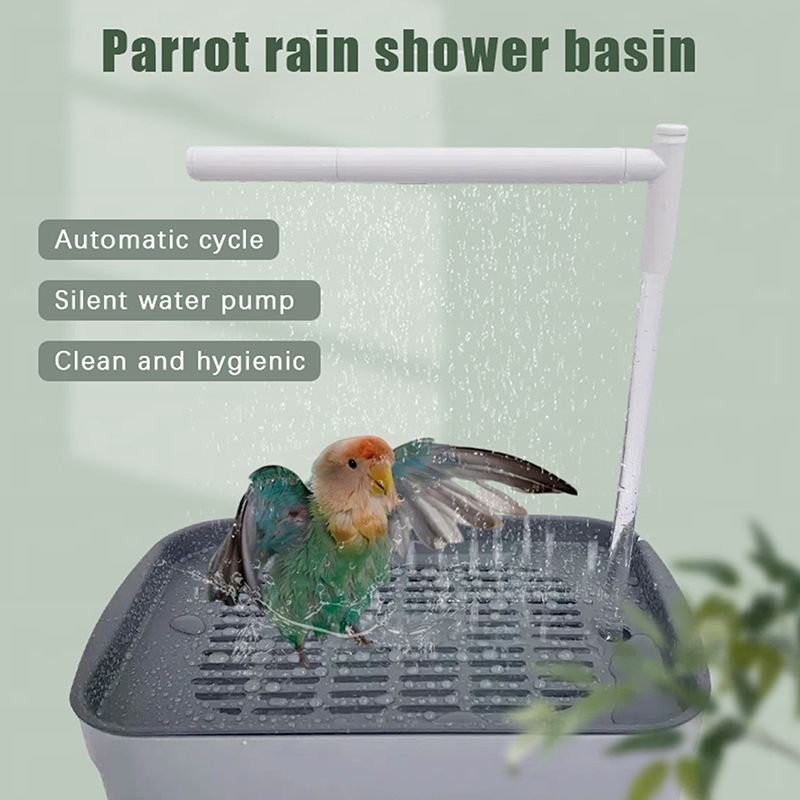 New Sale 2026 Automatic Parrot - Pet Supplies Usa recension och pris
