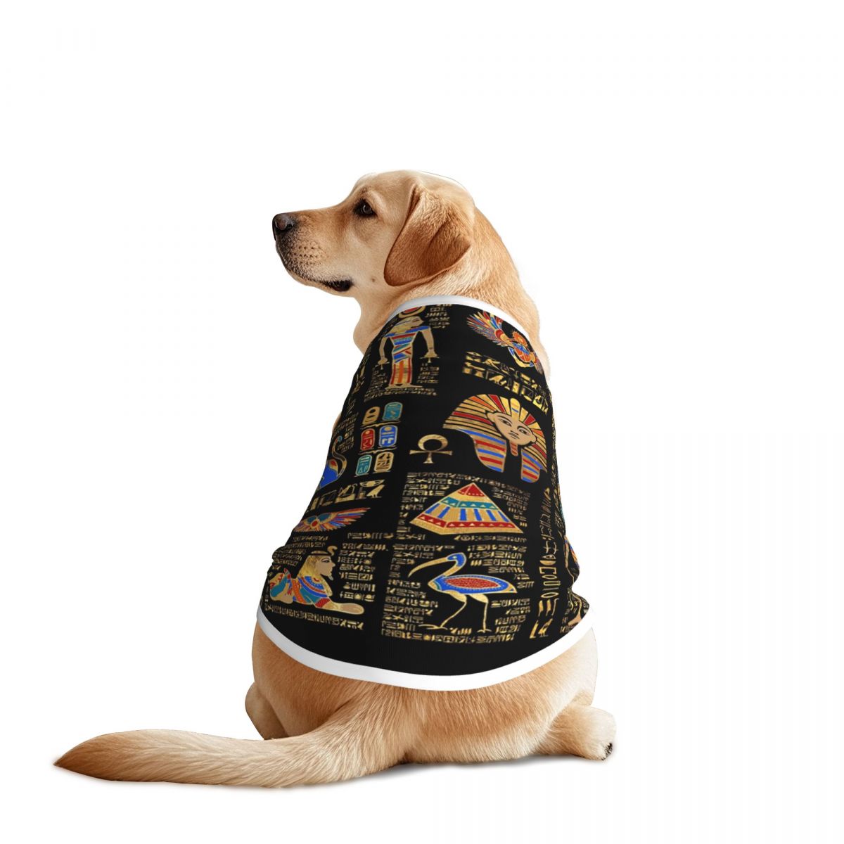 Egyptian Hieroglyphs And Deiti - Pet Supplies Egypt recension och pris