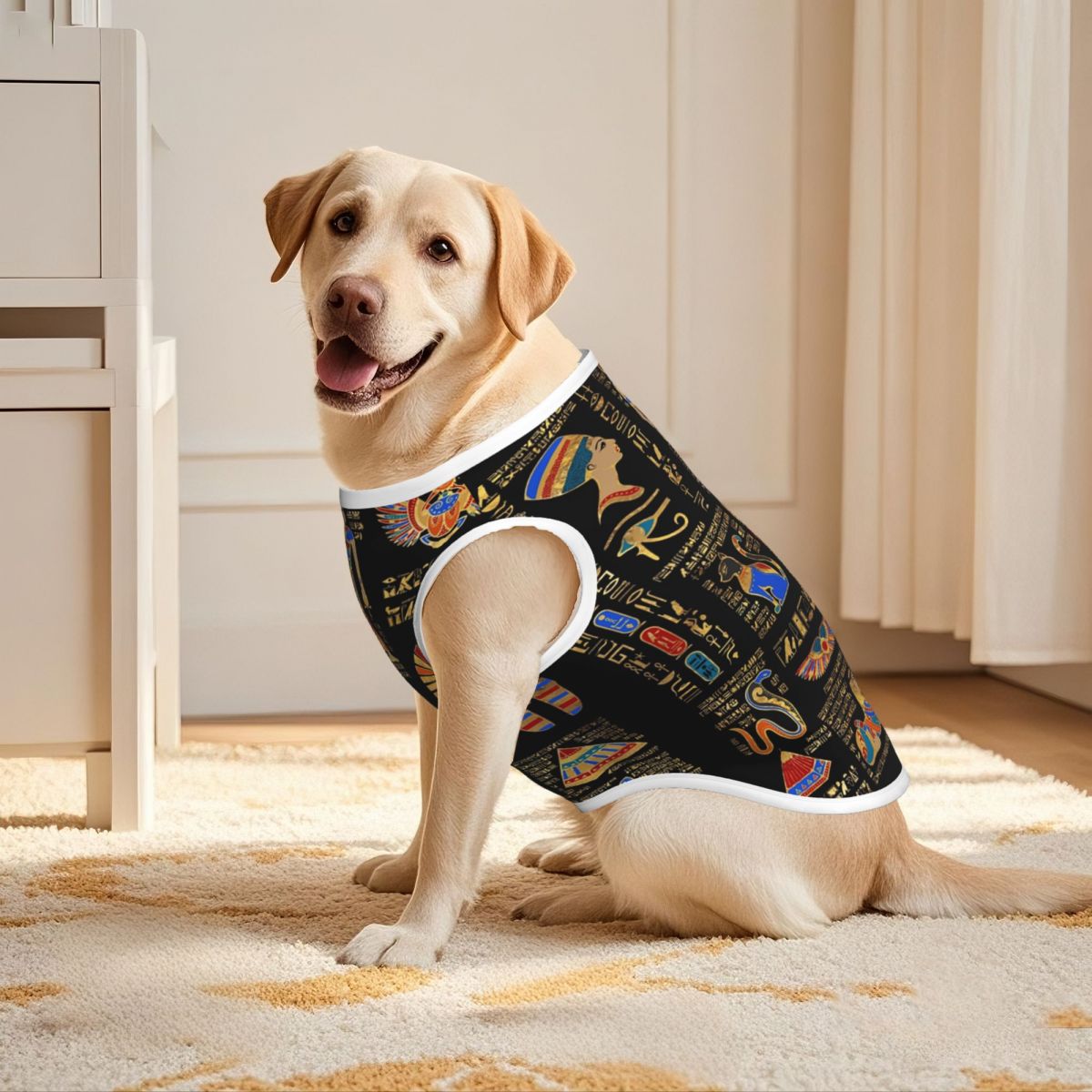 Egyptian Hieroglyphs And Deiti - Pet Supplies Egypt recension och pris